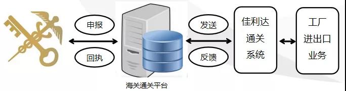 佳利达物流数字关务系统